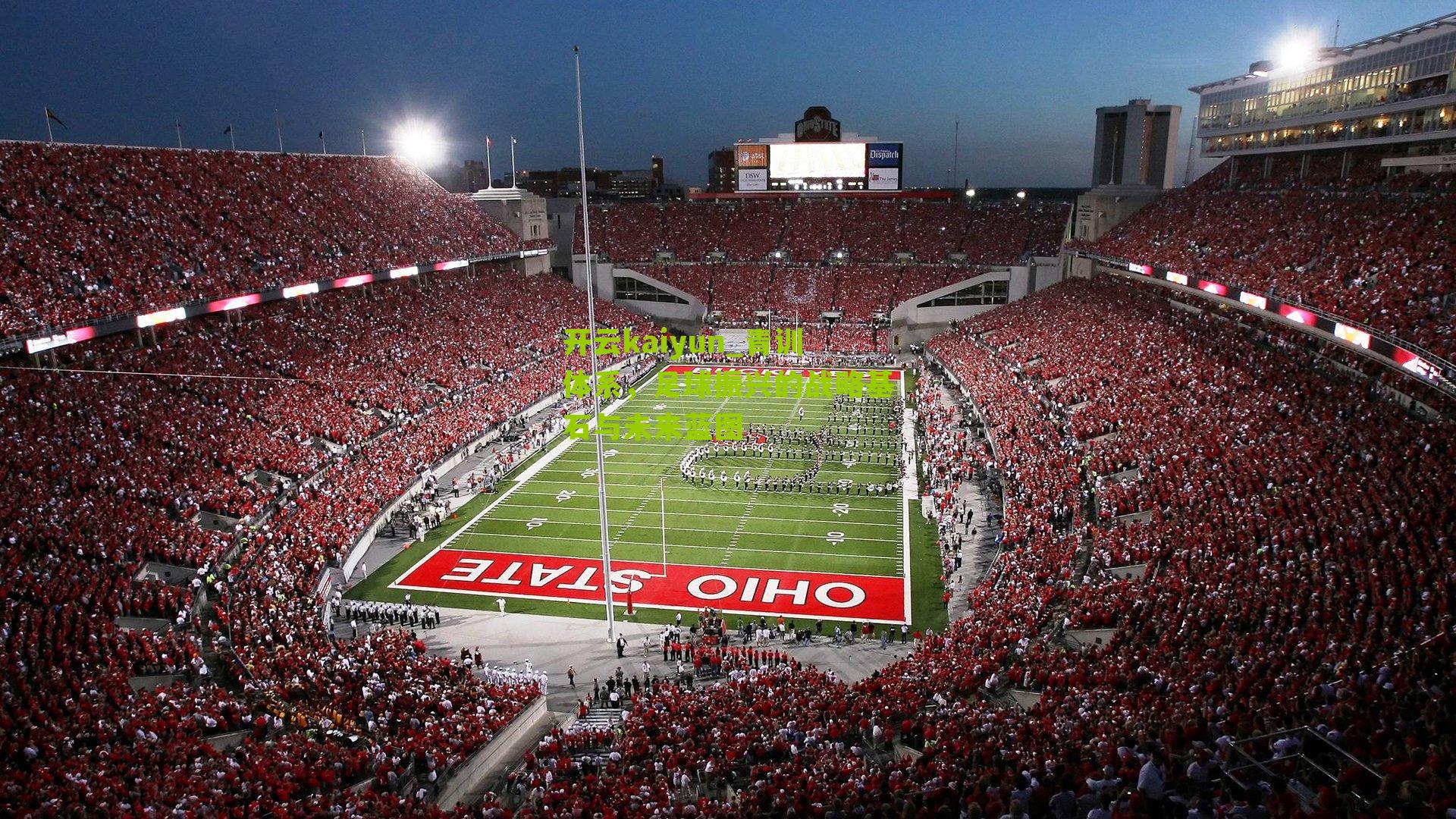 青训体系，足球振兴的战略基石与未来蓝图